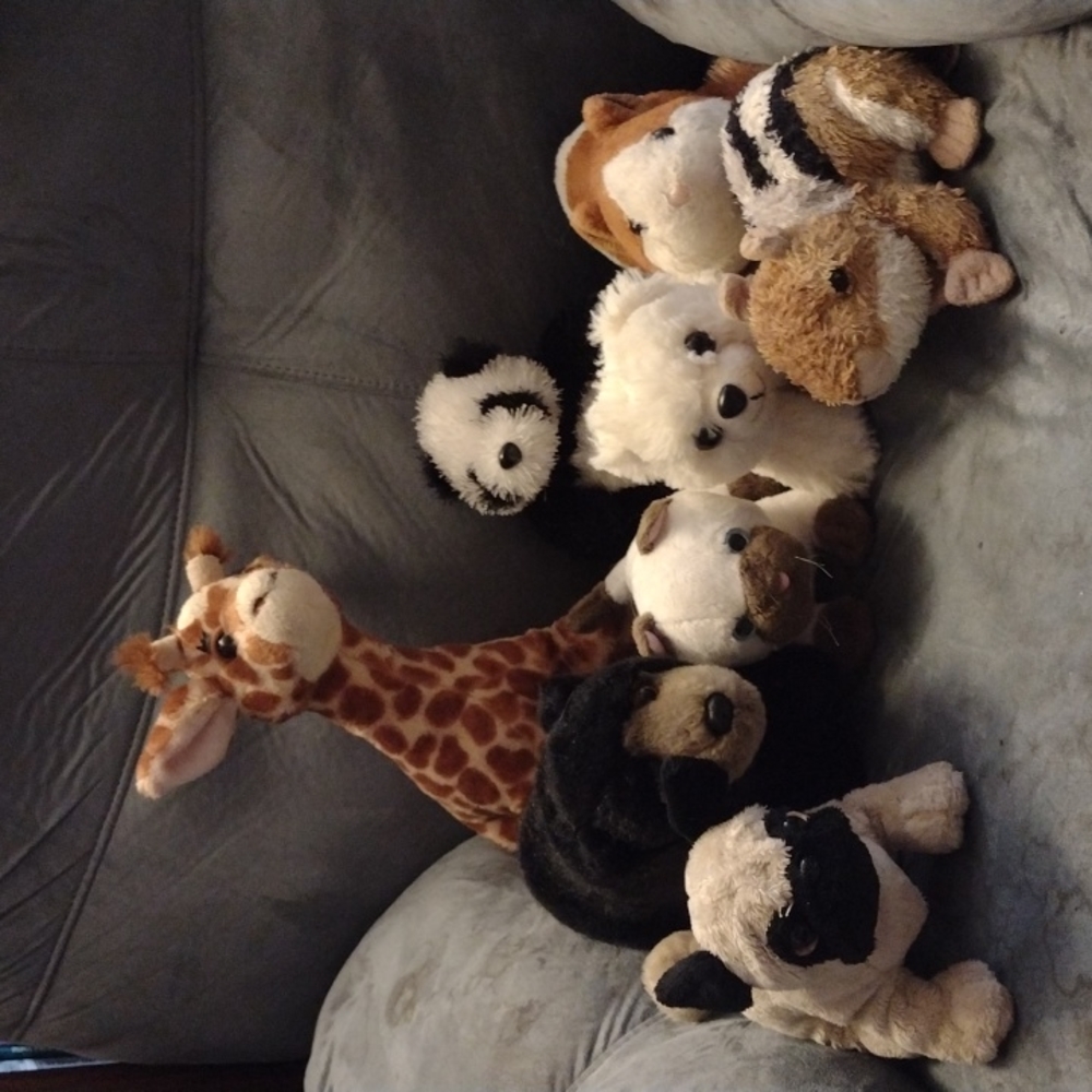 Webkinz and stuffed animals